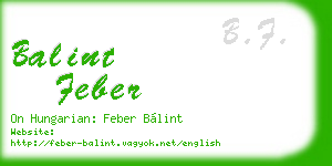 balint feber business card